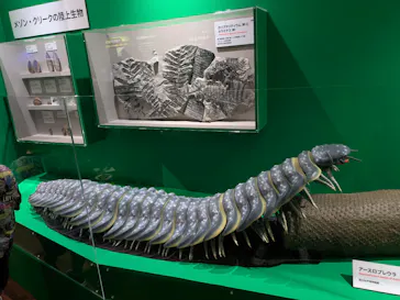 特別展　大絶滅展に投稿された画像（2026/8/3）