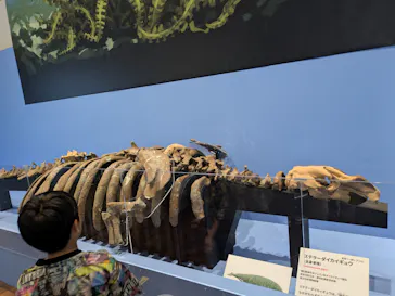特別展　大絶滅展に投稿された画像（2026/8/3）