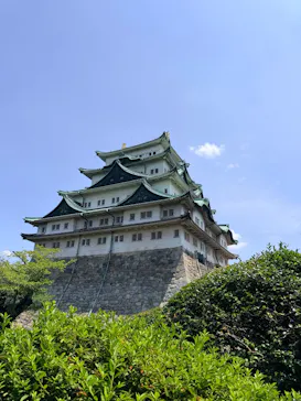 名古屋城に投稿された画像（2026/8/3）