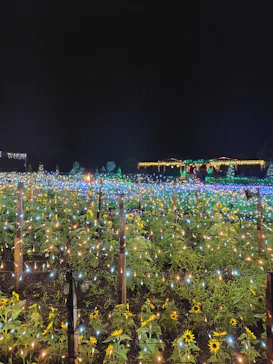 せんだい農業園芸センター　みどりの杜に投稿された画像（2026/8/3）