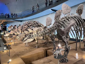福井県立恐竜博物館に投稿された画像（2026/8/3）
