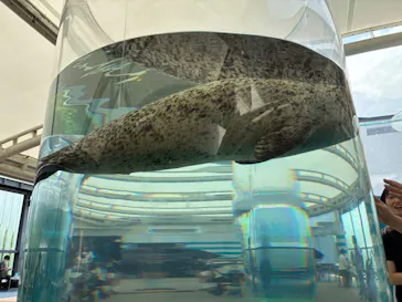 京都水族館に投稿された画像（2026/8/3）