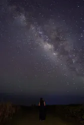 ミルキーウェイジャパンに投稿された画像（2026/8/3）