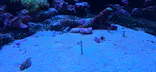 サンシャイン水族館に投稿された画像（2026/8/3）