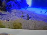名古屋港水族館に投稿された画像（2026/8/3）