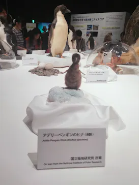 大南極展に投稿された画像（2026/8/3）