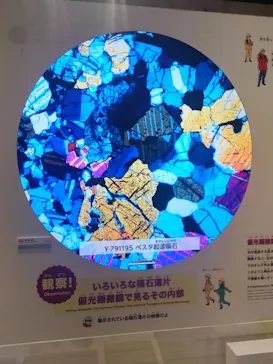大南極展に投稿された画像（2026/8/3）