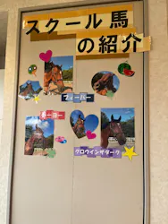 乗馬クラブ クレイン東京に投稿された画像（2026/8/3）