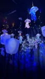 ひらかたパークに投稿された画像（2026/8/3）