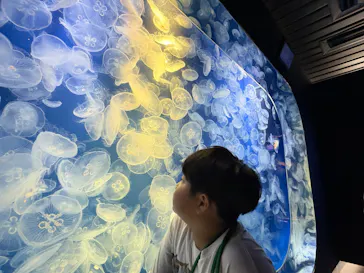 鴨川シーワールドに投稿された画像（2026/8/3）