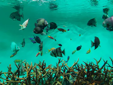 葛西臨海水族園に投稿された画像（2026/8/3）