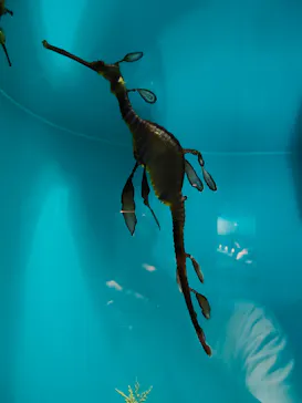 葛西臨海水族園に投稿された画像（2026/8/3）