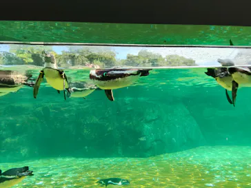 葛西臨海水族園に投稿された画像（2026/8/3）