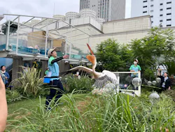 サンシャイン水族館に投稿された画像（2026/8/3）