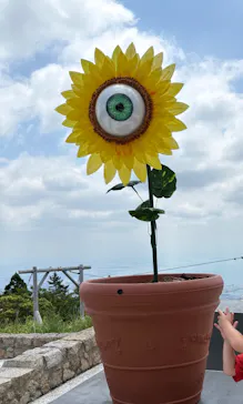 自然体感展望台 六甲枝垂れに投稿された画像（2026/8/3）