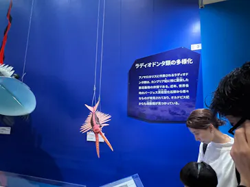 特別展　大絶滅展に投稿された画像（2026/8/3）