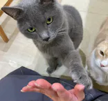 Moff animal cafe イオンモール成田店に投稿された画像（2026/8/4）