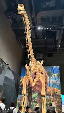福井県立恐竜博物館に投稿された画像（2026/8/3）