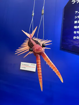 特別展　大絶滅展に投稿された画像（2026/8/3）