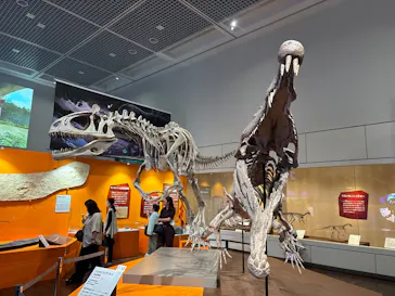 特別展　大絶滅展に投稿された画像（2026/8/3）
