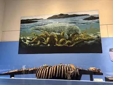 特別展　大絶滅展に投稿された画像（2026/8/3）