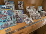 名古屋港水族館に投稿された画像（2026/8/4）