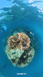 奄美海族塾に投稿された画像（2026/8/3）