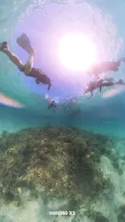 奄美海族塾に投稿された画像（2026/8/3）