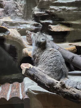 恩賜上野動物園に投稿された画像（2026/8/4）
