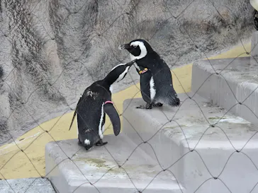 恩賜上野動物園に投稿された画像（2026/8/4）