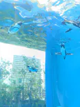 サンシャイン水族館に投稿された画像（2026/8/4）
