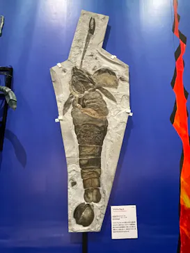 特別展　大絶滅展に投稿された画像（2026/8/4）