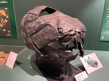 特別展　大絶滅展に投稿された画像（2026/8/4）
