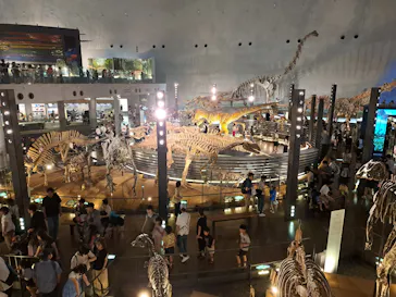 福井県立恐竜博物館に投稿された画像（2026/8/4）