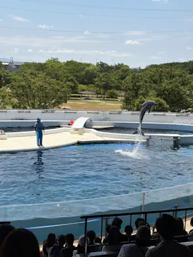 京都水族館に投稿された画像（2026/8/4）