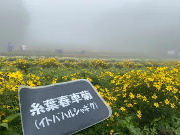たんばらラベンダーパークに投稿された画像（2026/8/4）