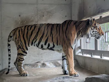 天王寺動物園に投稿された画像（2026/8/4）