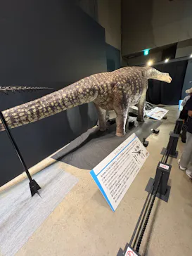 福井県立恐竜博物館に投稿された画像（2026/8/4）