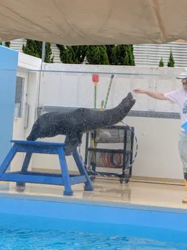 竹島水族館に投稿された画像（2026/8/4）
