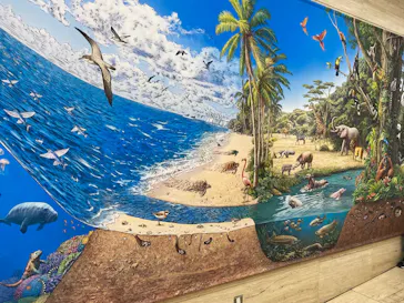 特別展「いきもの超ワールド展　国立科学博物館×ダーウィンが来た！」（国立科学博物館）に投稿された画像（2026/8/4）