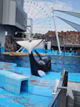 名古屋港水族館に投稿された画像（2026/8/4）