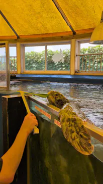 越前松島水族館に投稿された画像（2026/8/4）