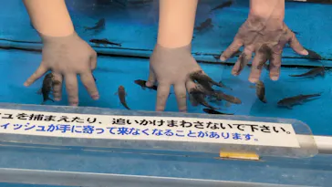 越前松島水族館に投稿された画像（2026/8/4）