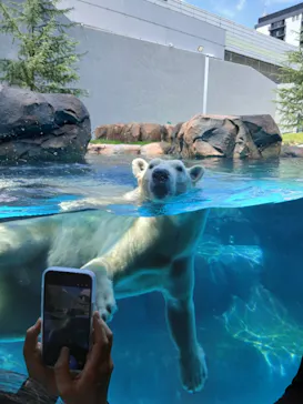 天王寺動物園に投稿された画像（2026/8/4）