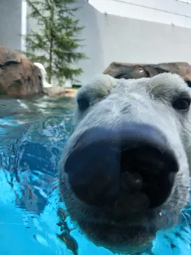 天王寺動物園に投稿された画像（2026/8/4）