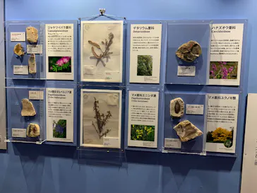 特別展　大絶滅展に投稿された画像（2026/8/4）