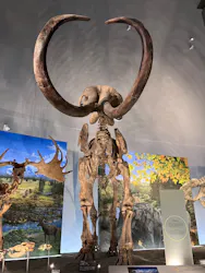 福井県立恐竜博物館に投稿された画像（2026/8/4）