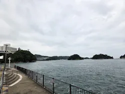 鳥羽湾めぐりとイルカ島に投稿された画像（2026/8/4）