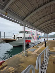 鳥羽湾めぐりとイルカ島に投稿された画像（2026/8/4）