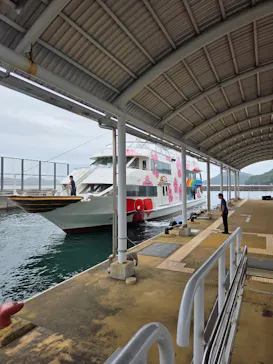 鳥羽湾めぐりとイルカ島に投稿された画像（2026/8/4）